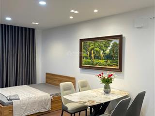 Cho thuê căn hộ 1 phòng ngủ tại newton residence trương quốc dung, dt 36m2  giá thuê 11,5 triệu