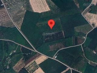 Bán đất cao su đang khai thác đất cuốc, tân uyên gần hồ đá bàn