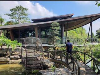 Giảm 1 tỷ lô đất nghỉ dưỡng gần ngay metro 12 diện tích 863m giá nhỉnh 14tr