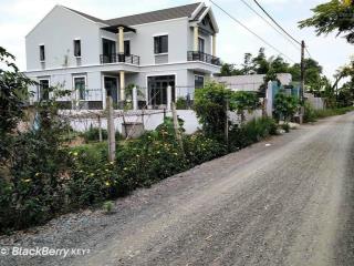 Bán đất tại lô 2 đường thanh niên, phạm văn hai, bình chánh, hcm 4,5 tỷ, dt 298m2