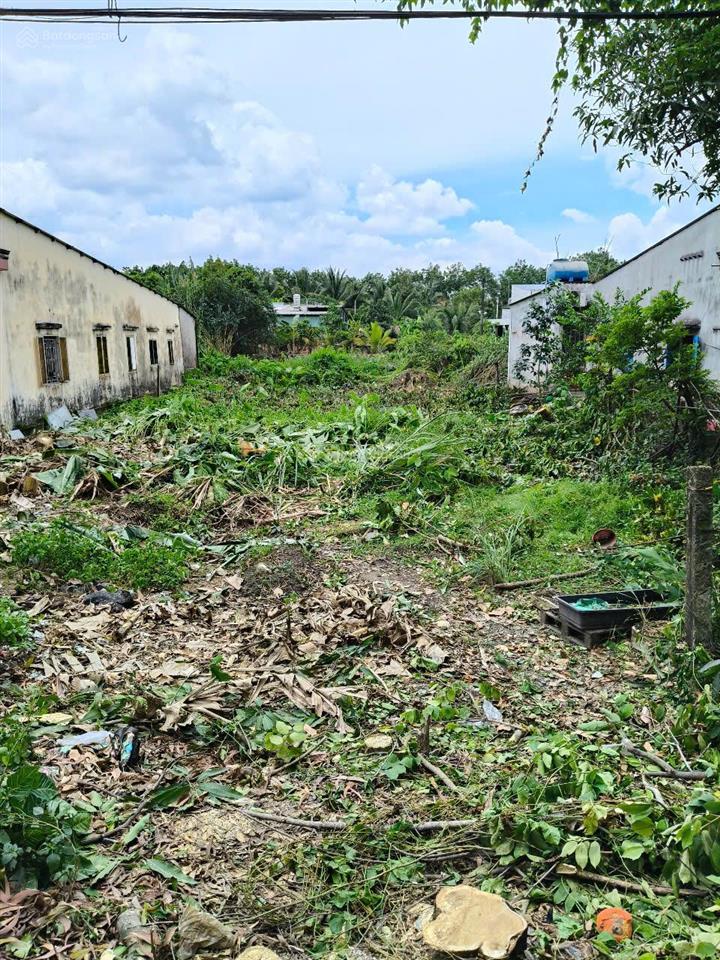 Bán đất tại đường thanh niên, xã phạm văn hai, huyện bình chánh, 9 tỷ, 735m²