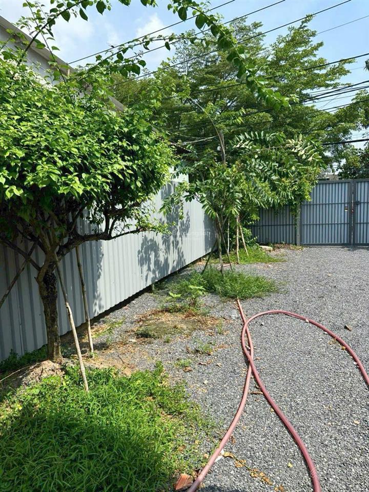 Bán đất tại đường thanh niên, 4,89 tỷ, 320m2, thuận tiện đầu tư