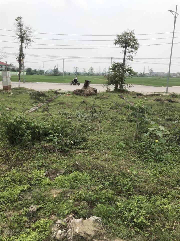 Chính chủ cần bán đất đấu giá mặt đường thụy lâm  đông anh  hà nội