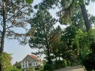 Bán nhanh căn biệt thự 200m2 vị trí đẹp giá chỉ 21 tỷ ngay khu sinh thái cao cấp đan phượng