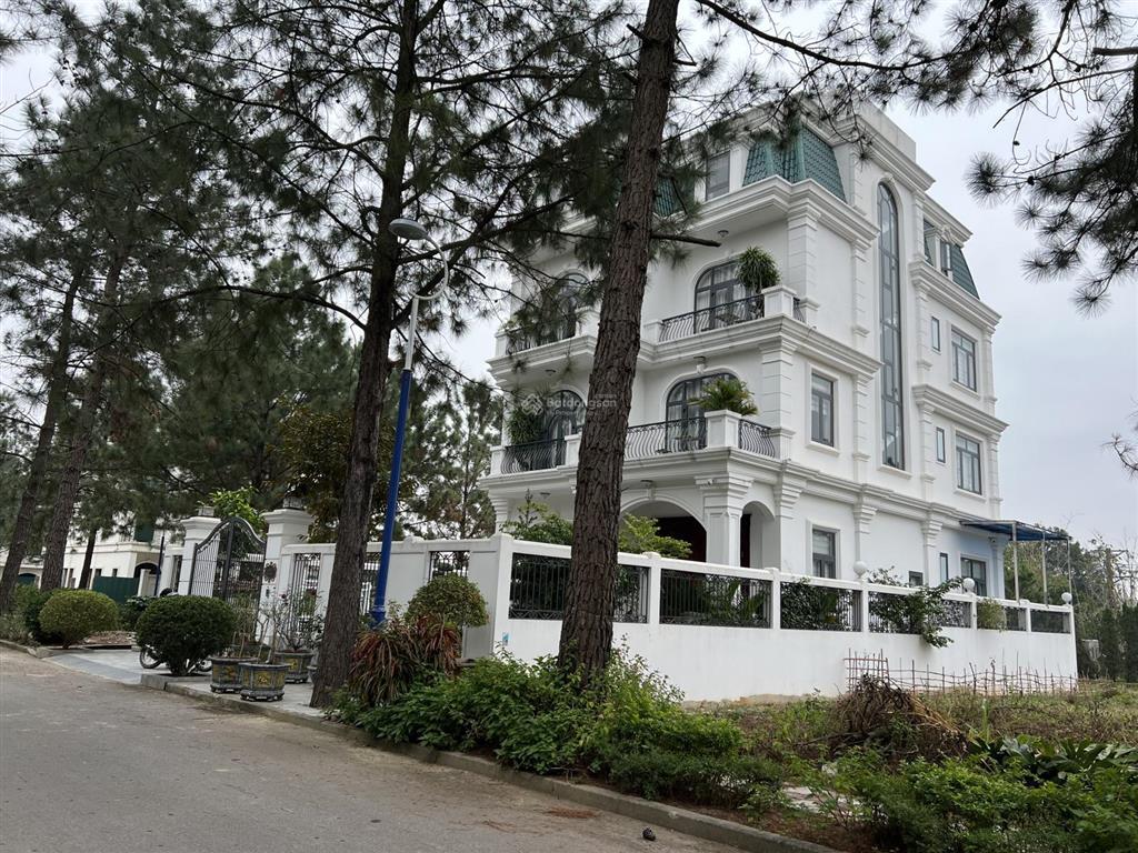 Chính chủ bán lô đất 400m tại khu sinh thái cao cấp the phoenix garden vị trí đẹp giá rẻ