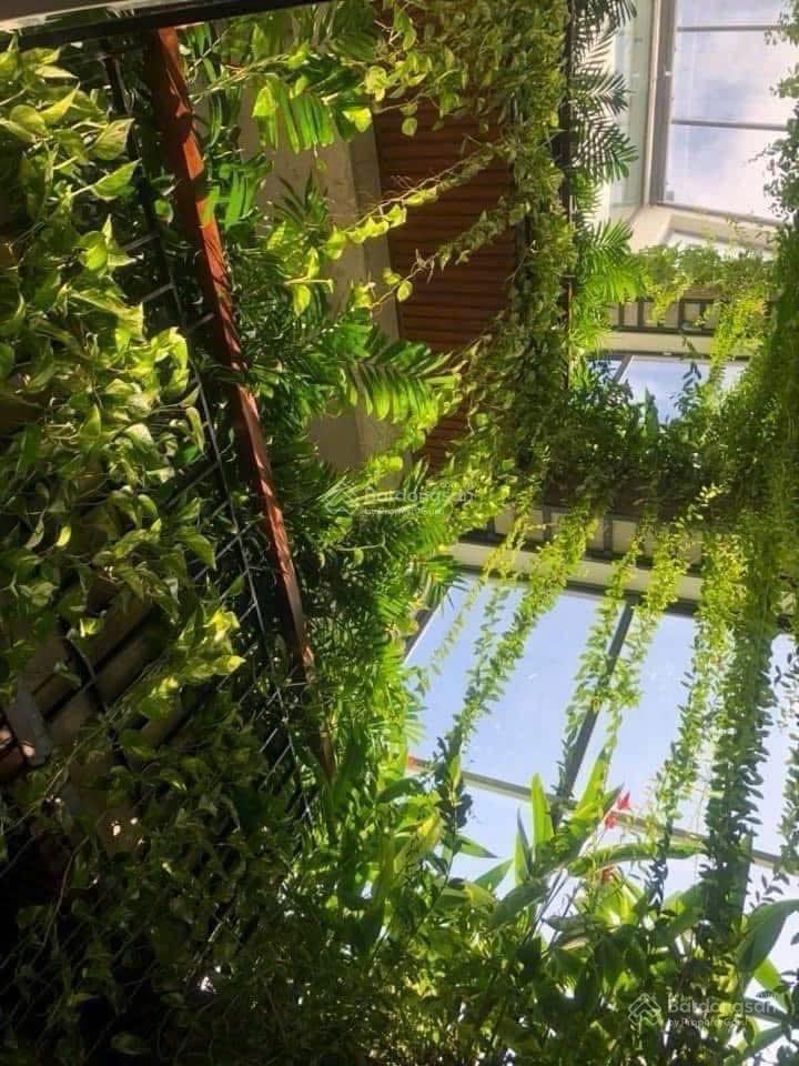 Đầu tư là chắc thắng toà nhà 7 tầng trung tâm hải châ không tìm thấy căn vó giá tốt thứ 2