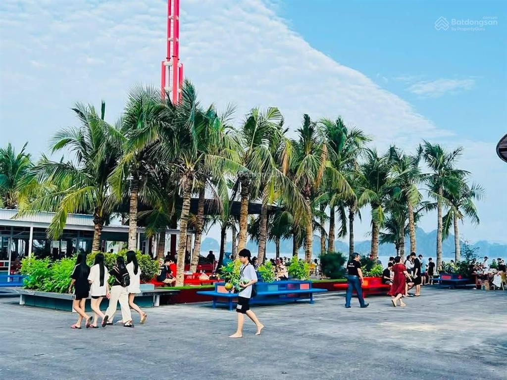 Bà cô đi nước ngoài cần tiền cắt lỗ lô đất nền giá cực kỳ tốt