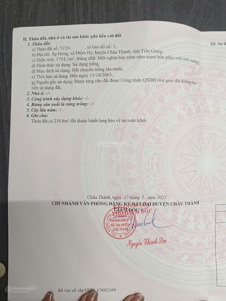 Đất trồng lúa, đang trống, đang có luống trồng hoa màu