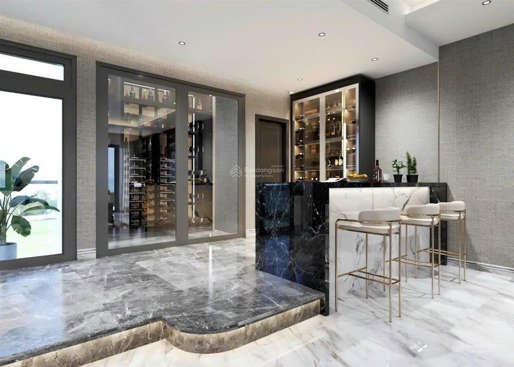 Villa đôi độc nhất vô nhị tại dự án trần anh  west lakes gold & villa tân mỹ, đức hoà, long an