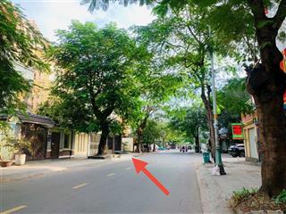 Siêu phẩm trục đường kinh doanh 56  kdc đông thủ thiêm  p. bình trưng q2