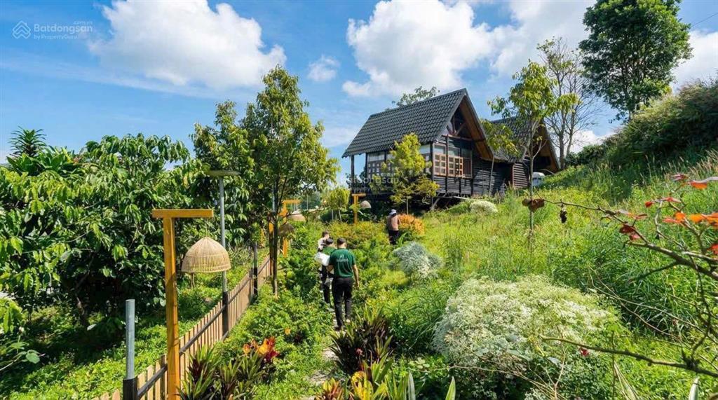 Đất nền nghỉ dưỡng bảo lộc  view săn mây, pháp lí minh bạch, di sản cho con cháu sau này.