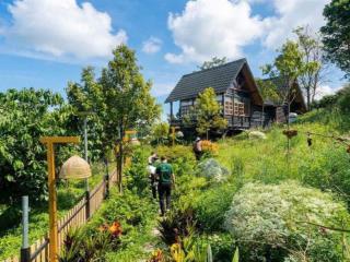 Đất nền nghỉ dưỡng bảo lộc  view săn mây, pháp lí minh bạch, di sản cho con cháu sau này.