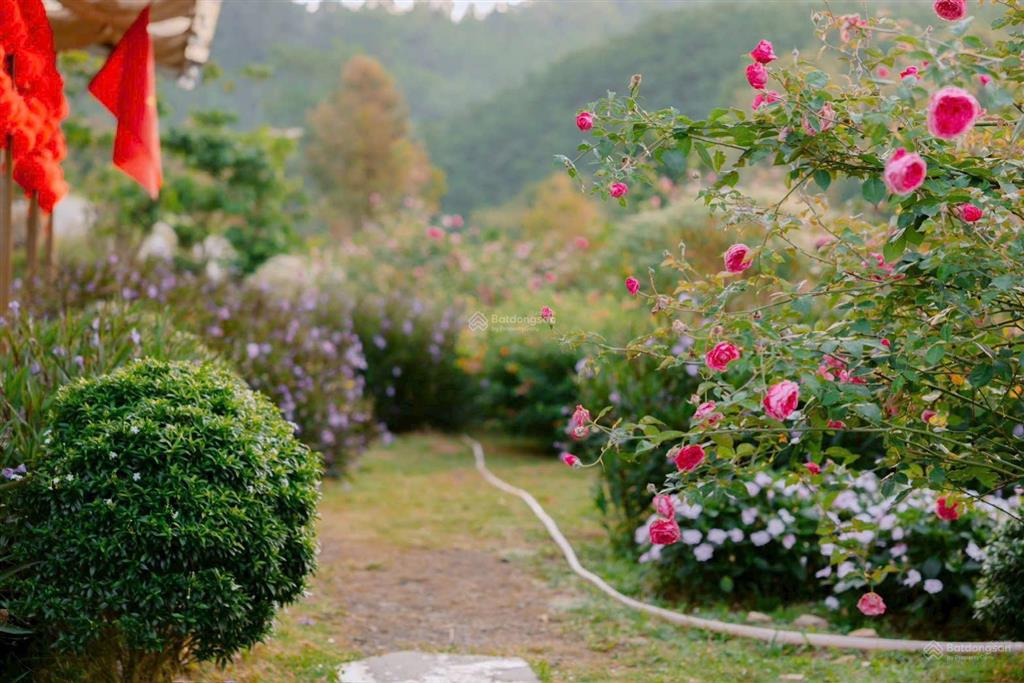Đất nền nghỉ dưỡng bảo lộc  view săn mây, pháp lí minh bạch, di sản cho con cháu sau này.