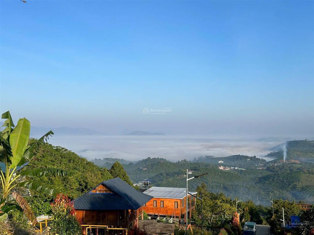 Đất nền nghỉ dưỡng bảo lộc  view săn mây, pháp lí minh bạch, di sản cho con cháu sau này.