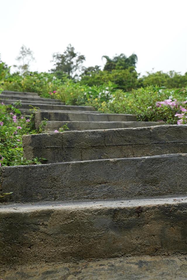 Đất nền bảo lộc 1000m2 có thổ cư, sổ hồng sẵn, cư dân  an ninh và tiện ích hiện hữu.
