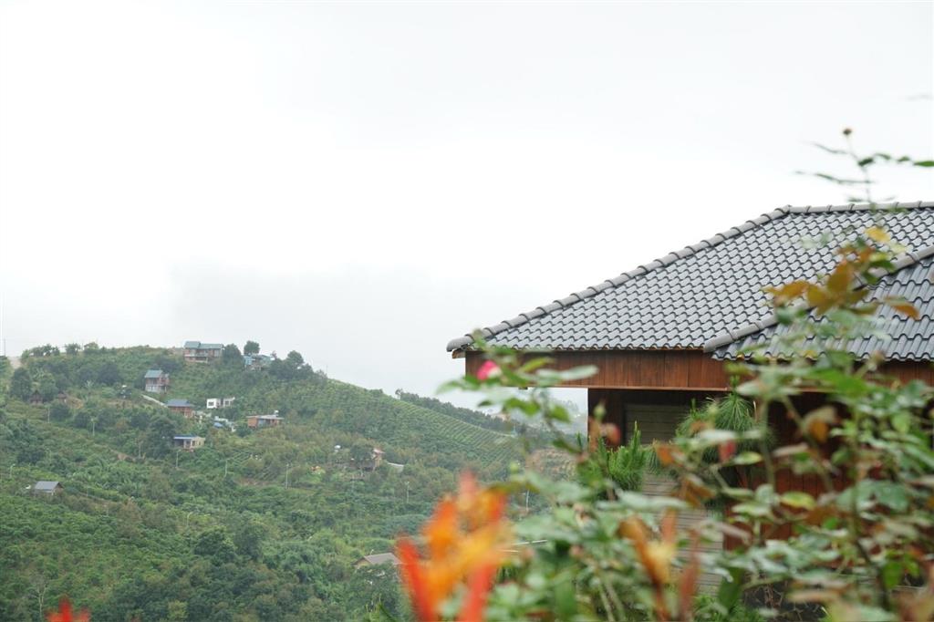 Đất nền bảo lộc 1000m2 có thổ cư, sổ hồng sẵn, cư dân  an ninh và tiện ích hiện hữu.