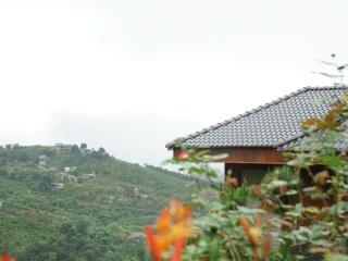 Đất nền bảo lộc 1000m2 có thổ cư, sổ hồng sẵn, cư dân  an ninh và tiện ích hiện hữu.