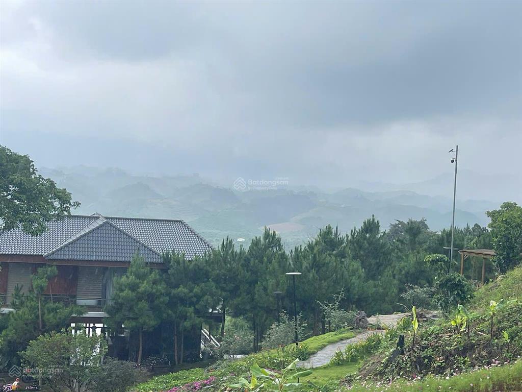 Sở hữu 1.000m2 nhà vườn bảo lộc mặt tiền blaosere, xây nhà nghỉ dưỡng an ninh sổ hồng trao tay.