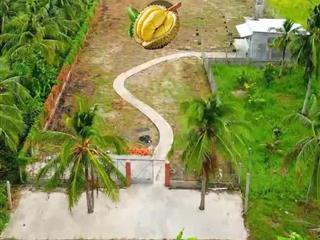 Chính chủ bán gấp đất nền 3300m2 có sẵn nhà mới xây