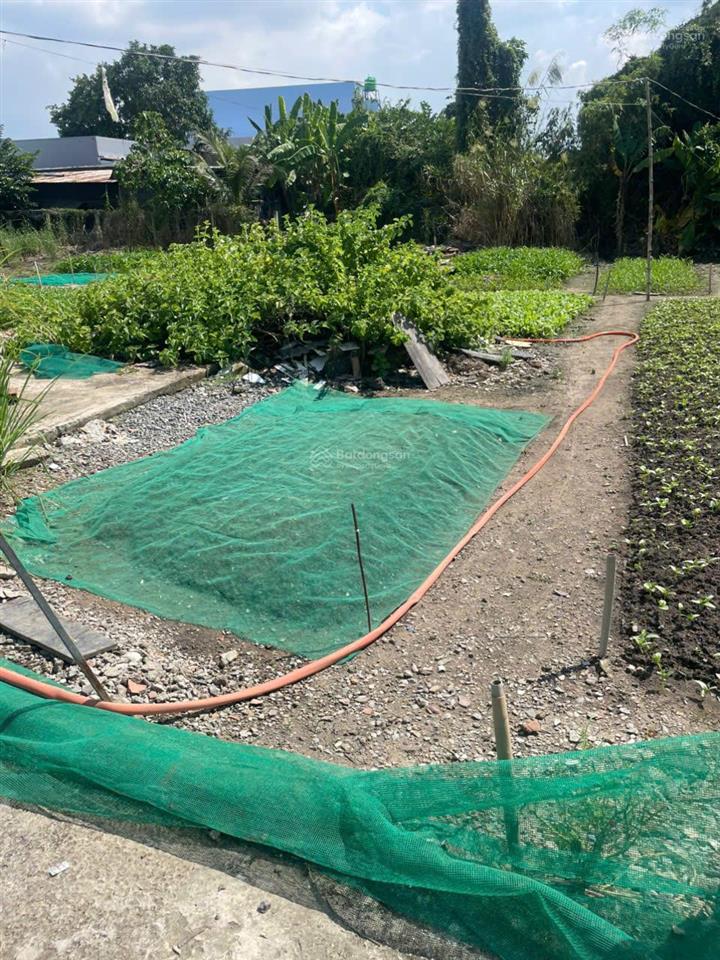 Cần bán gấp 110m2/520trieu/shr. cách q8 chỉ 20p đi xe, ngay ubnd mỹ lộc, tiện ích đủ.