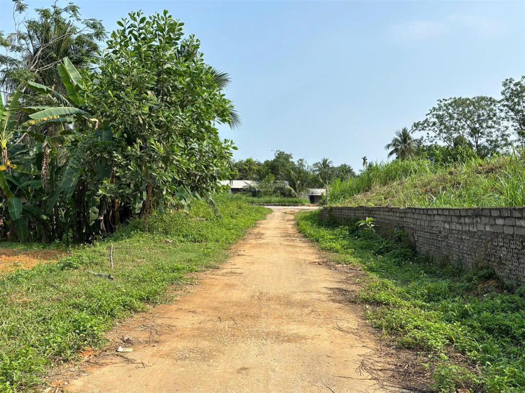 Đất sát kcn lam sơn sao vàng 537ha chỉ 5xx