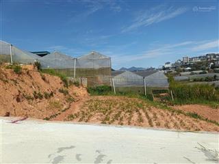Bán đất biệt thự 333m2 giá cực tốt tại cao thắng đà lạt mua đầu tư hoặc xây ở ổn định