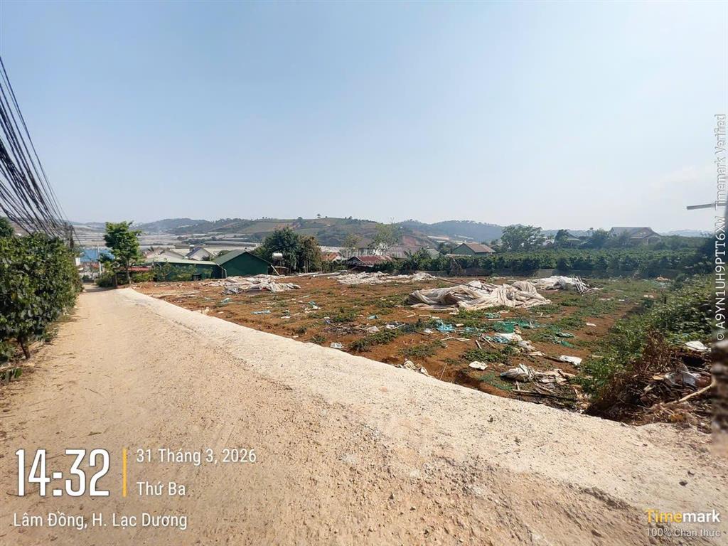 Bán đất giá rẻ đà lạt 347m2, sổ riêng xây dựng chỉ 3,8 tỷ giá cực tốt đường ô tô