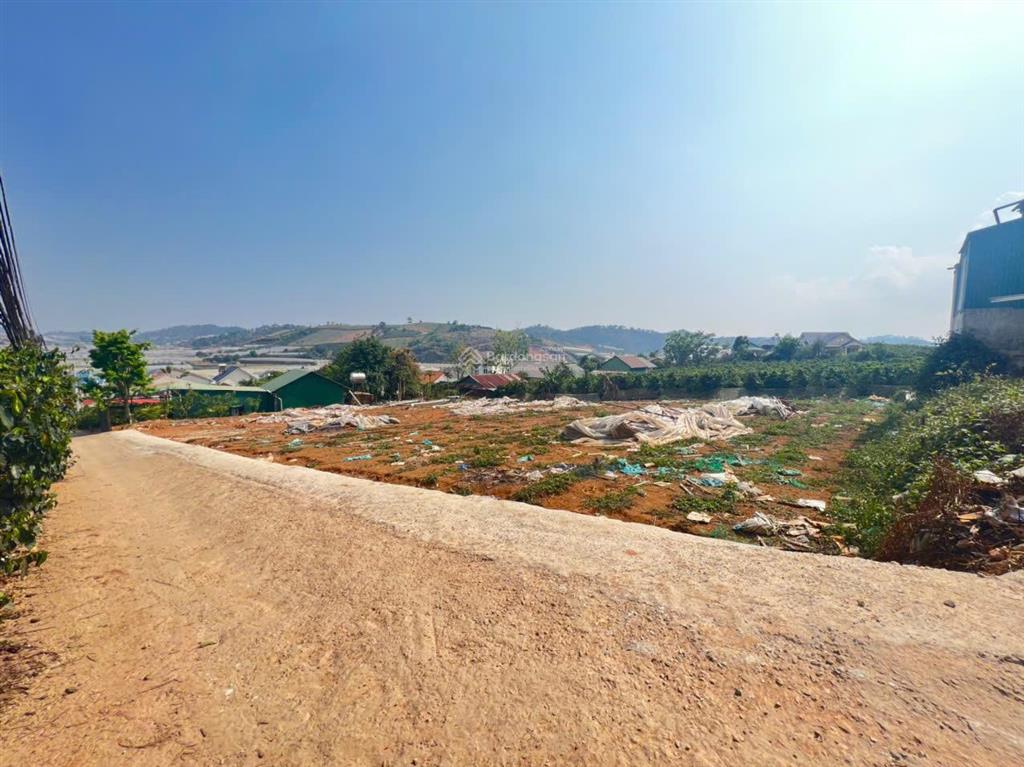 Bán đất giá rẻ đà lạt 347m2, sổ riêng xây dựng chỉ 3,8 tỷ giá cực tốt đường ô tô