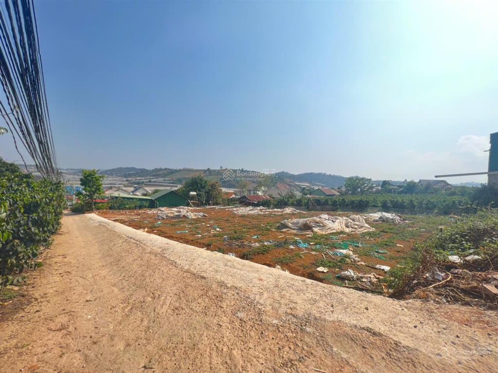 Bán đất giá rẻ đà lạt 347m2, sổ riêng xây dựng chỉ 3,8 tỷ giá cực tốt đường ô tô