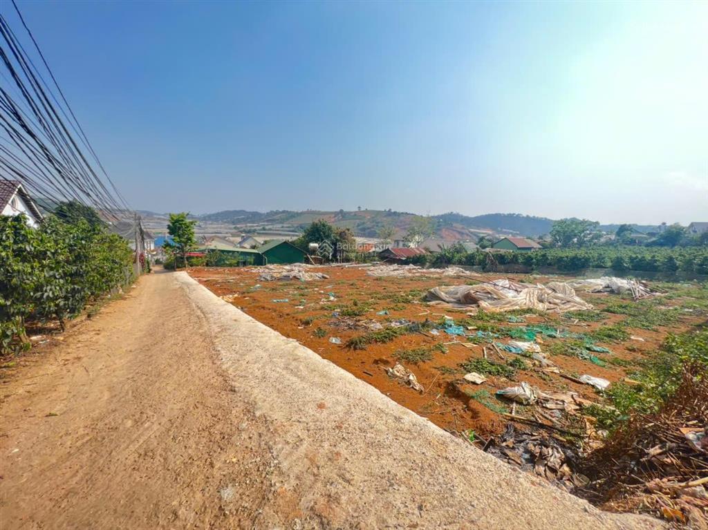 Bán đất giá rẻ đà lạt 347m2, sổ riêng xây dựng chỉ 3,8 tỷ giá cực tốt đường ô tô
