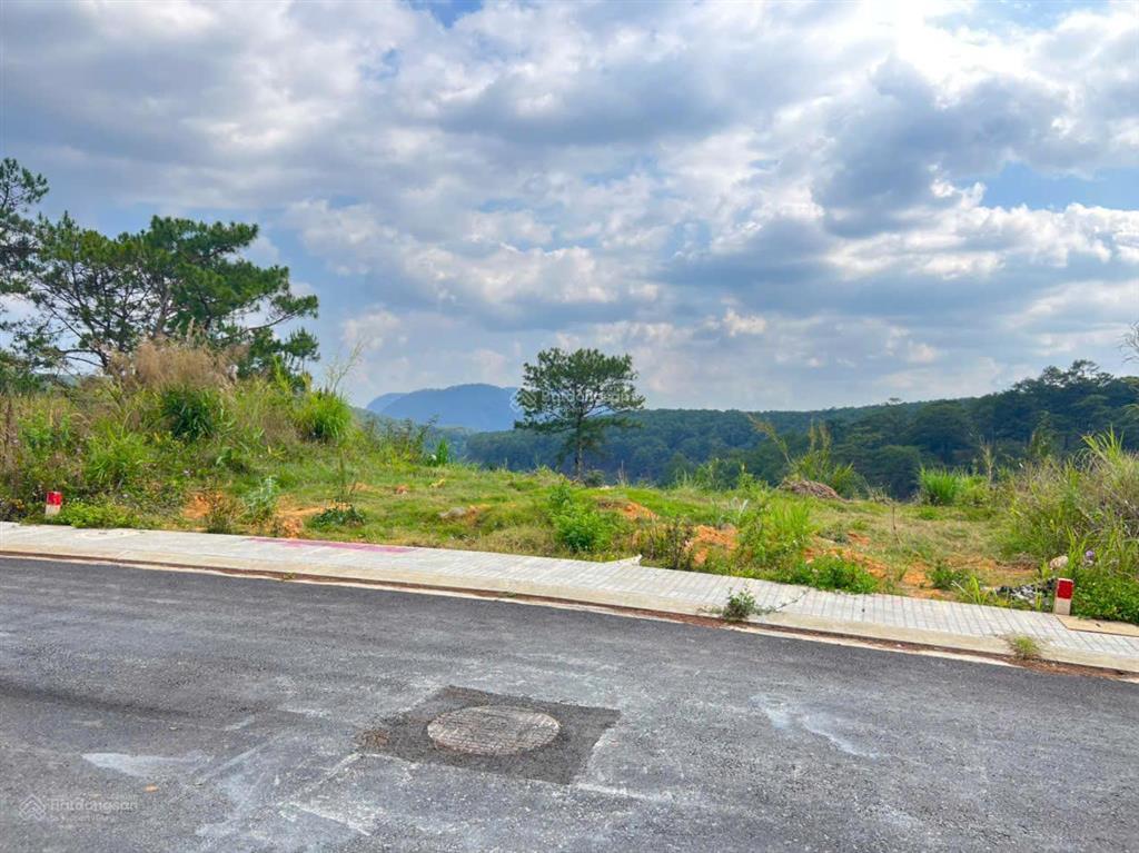 View rừng thông bao phủ cho lô đất biệt thự an sơn 365m2 giá 20 tỷ cực hiếm