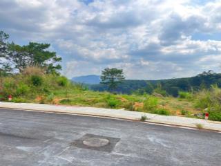 View rừng thông bao phủ cho lô đất biệt thự an sơn 365m2 giá 20 tỷ cực hiếm