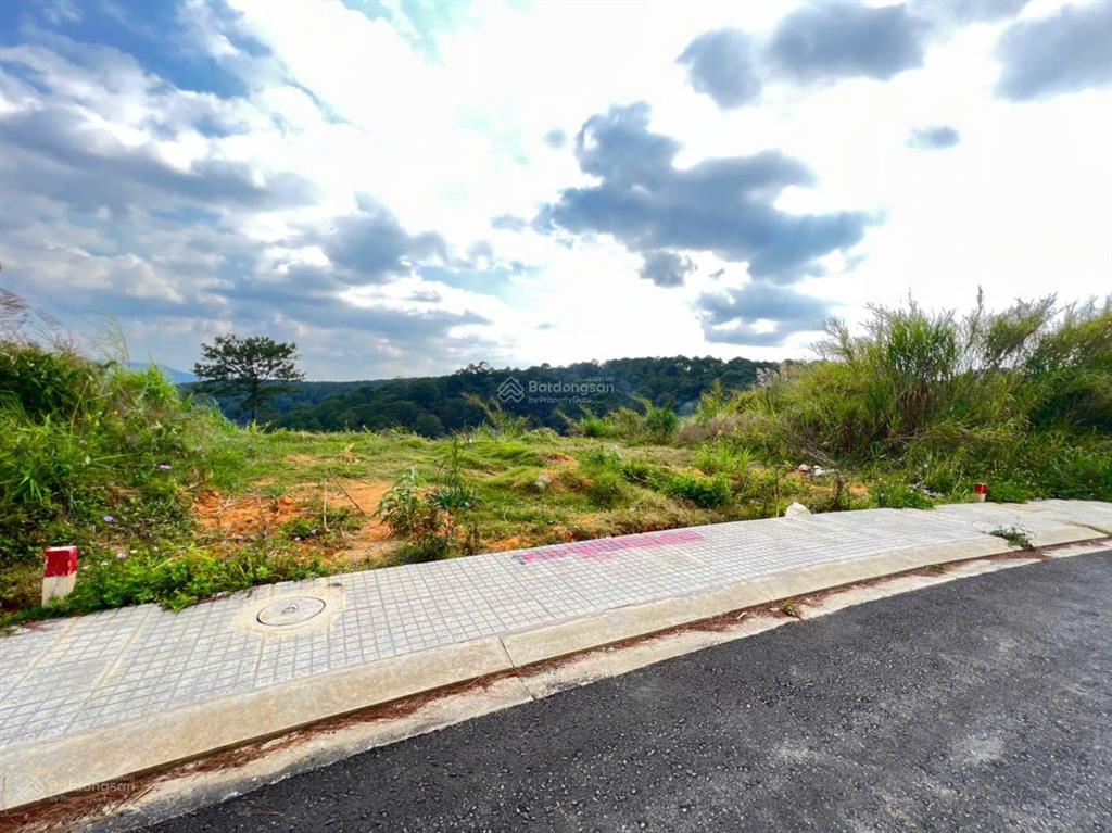 View rừng thông bao phủ cho lô đất biệt thự an sơn 365m2 giá 20 tỷ cực hiếm