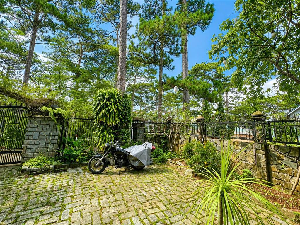 Biệt thự giữa rừng thông mang đậm nét thơ đà lạt, vị trí khó tìm được căn thứ 2