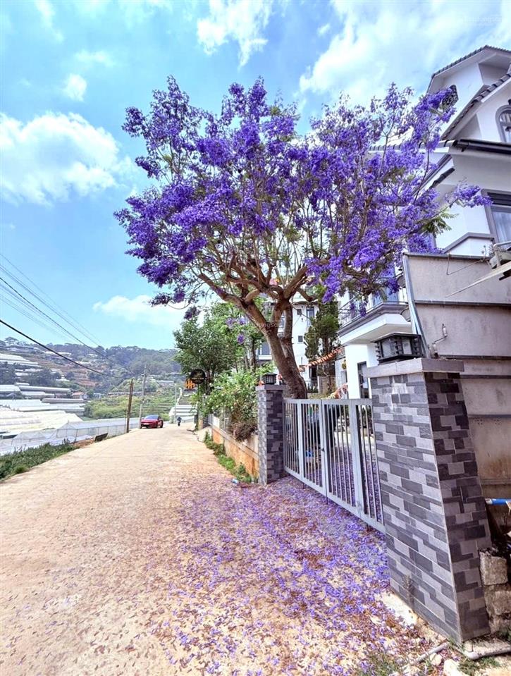 568m2 có sẵn 250m2 đất ở, mặt tiền rộng 22m giá chỉ 12,5 tỷ cần bán nhanh