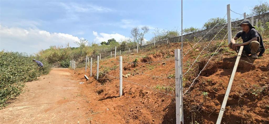 Bán đất view thung lũng view thông khu măng ling 212m2 giá tốt chỉ 4,550 tỷ thương lượng