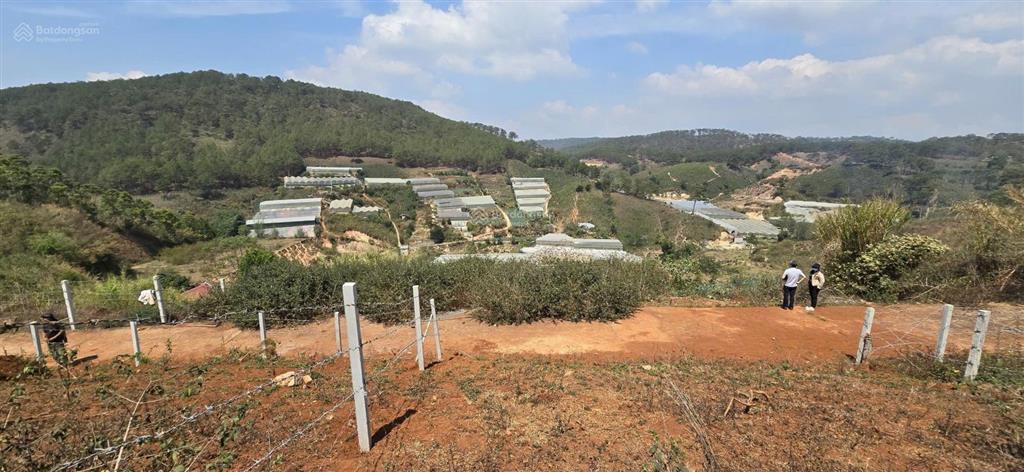 Bán đất view thung lũng view thông khu măng ling 212m2 giá tốt chỉ 4,550 tỷ thương lượng