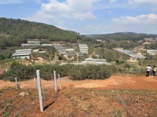 Bán đất view thung lũng view thông khu măng ling 212m2 giá tốt chỉ 4,550 tỷ thương lượng