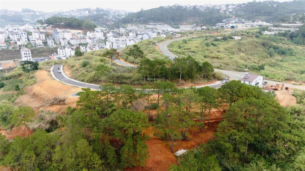 Đất view thông vĩnh viễn 371m2 full đất ở khu an sơn chỉ 16 tỷ đã giảm 4 tỷ cần bán nhanh