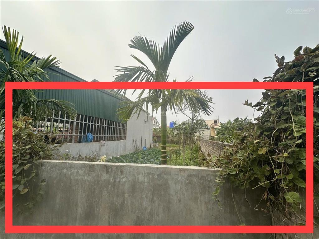 Cc cần bán lô thổ cư cách ql17 100m, cách sân bay gia bình 500m đoạn xuân lai, gia bình, bắc ninh.