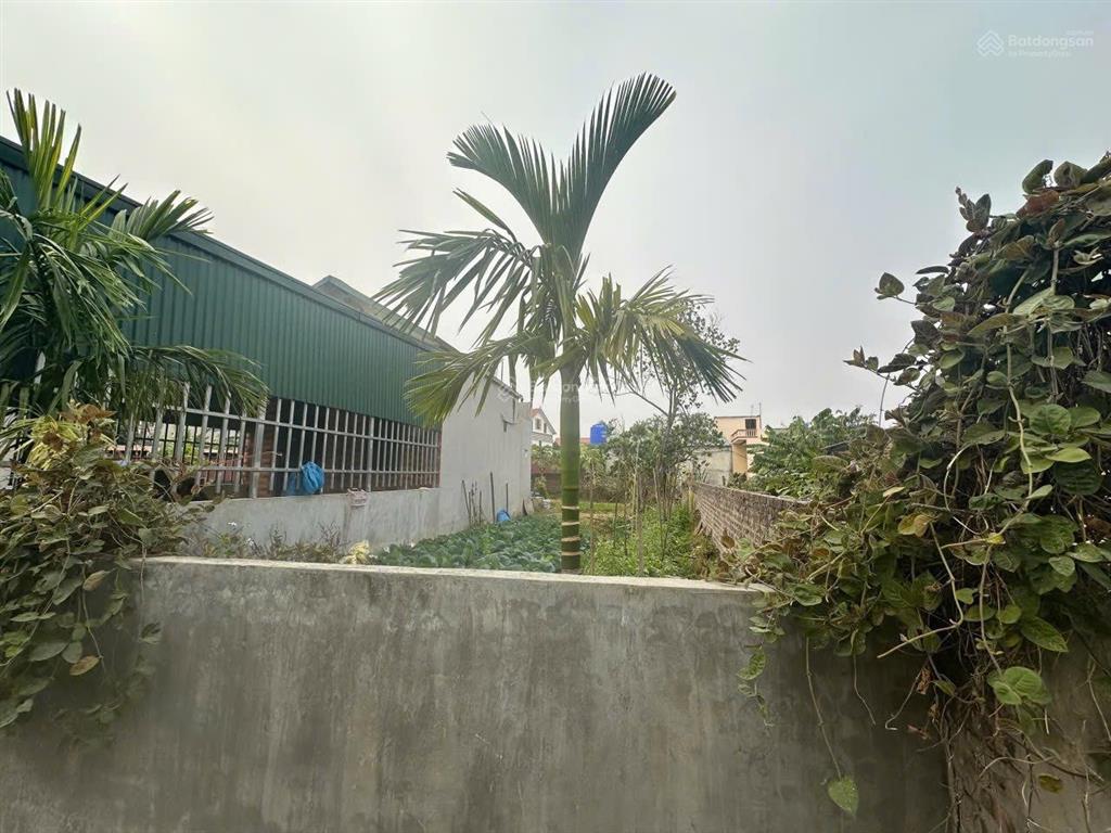 Cc cần bán lô thổ cư cách ql17 100m, cách sân bay gia bình 500m đoạn xuân lai, gia bình, bắc ninh.