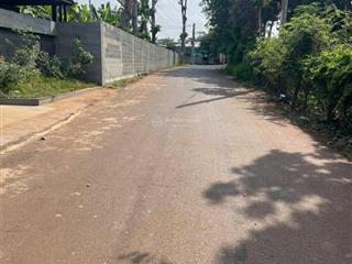 Chủ gửi bán gấp  giá tốt cho nhà vườn