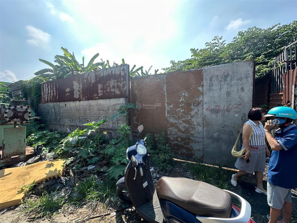 Nhà em có mảnh đất để trống to rộng cho thuê lâu dài
