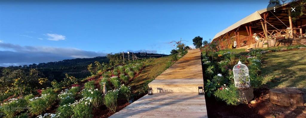 Bán 5 hecta đất tại tà nung đà lạt, gần các khu du lịch