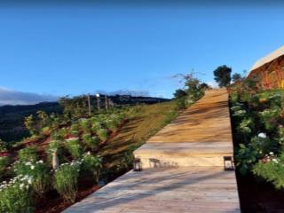 Bán 5 hecta đất tại tà nung đà lạt, gần các khu du lịch