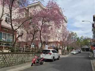 Bán 1 tỷ 399 chung cư yersin gần hồ xuân hương. có thang máy.
