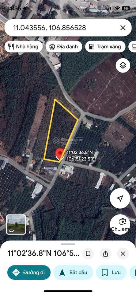 Bán đất 7673m2 có sẵn 300 m2 thổ cư giá 25 tỷ tại xã thường tân huyện bắc tân uyên bình dương
