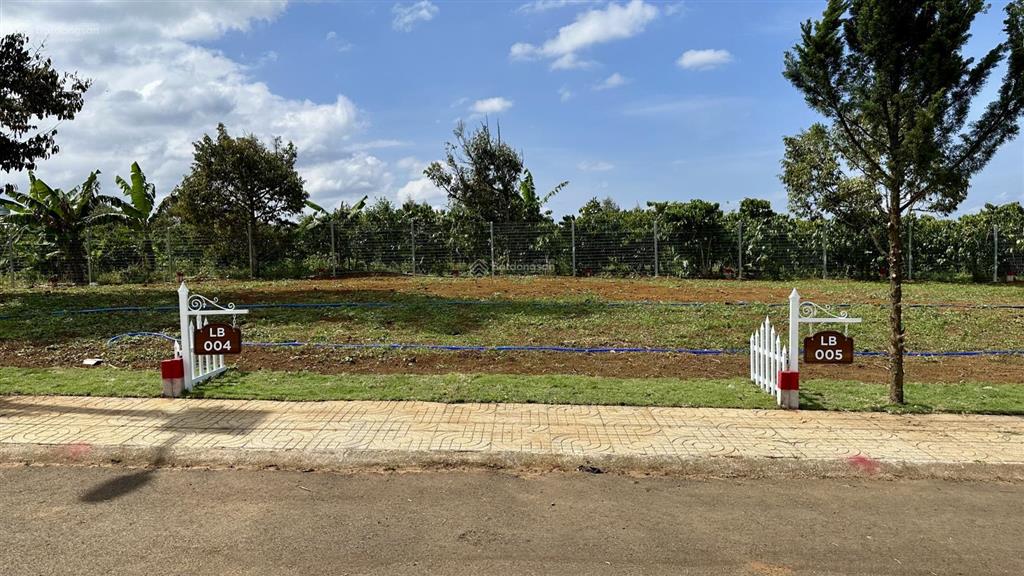 Bán đất giá rẻ lâm đồng, tặng bản thiết kế nhà, sổ riêng, ô tô vào tận nơi