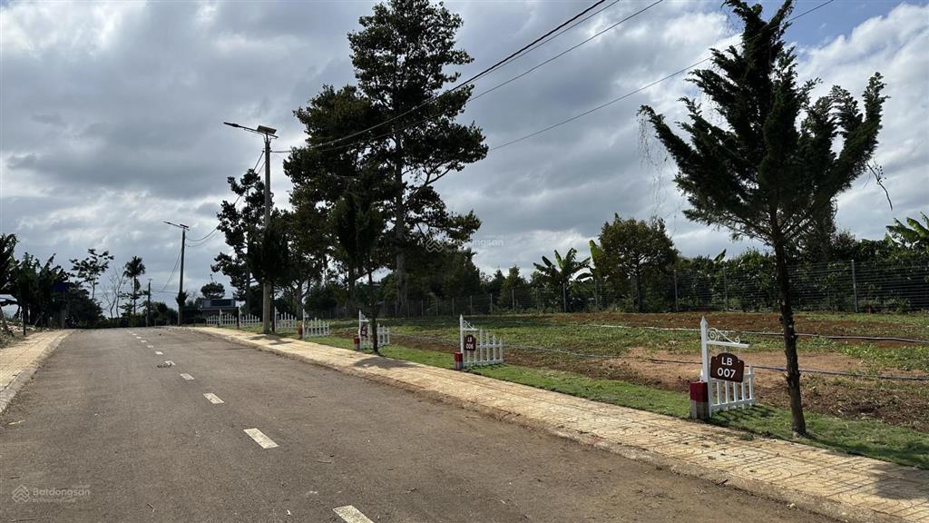 Bán đất giá rẻ lâm đồng, tặng bản thiết kế nhà, sổ riêng, ô tô vào tận nơi