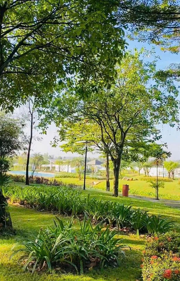 Biệt thự ecolaskes, giảm sâu diện tích 300m2  ngang 12m  sâu 25m